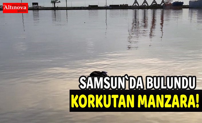 Samsun'da deniz kenarında erkek cesedi bulundu