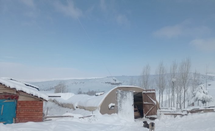 Çorum'da kar nedeniyle çatısı çöken ahırdaki 100 koyun son anda kurtarıldı