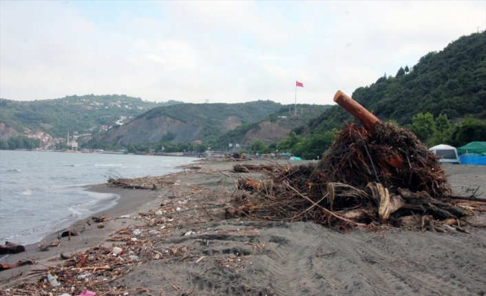 Zonguldak'ta selin denize sürüklediği odunlar kıyıya vurdu