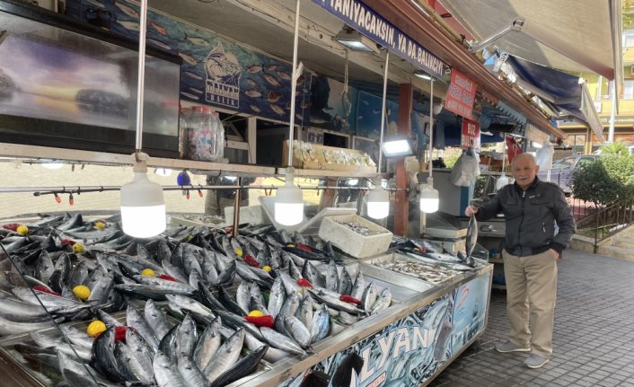 Bartın'da soğuk hava balık fiyatlarını yükseltti