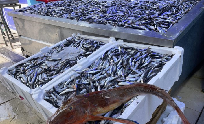 Balıkçılar av sezonunun ilk ayında umduğunu bulamadı