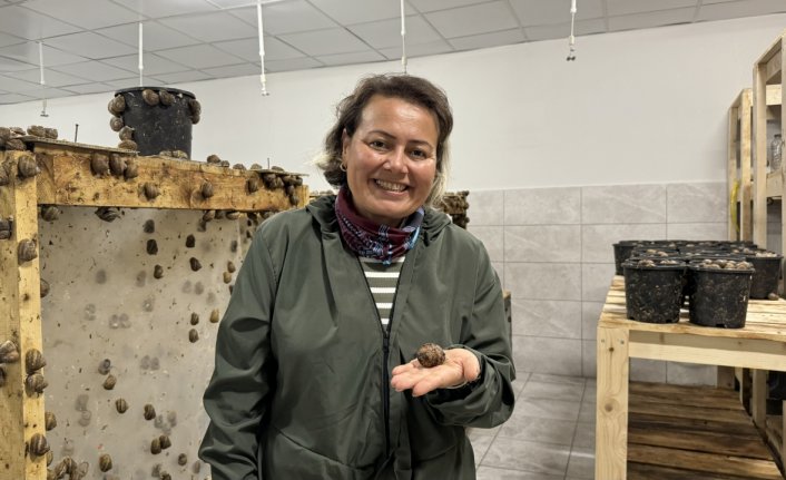 Bulgaristan'dan getirttiği salyangozlarla çiftlik kurdu