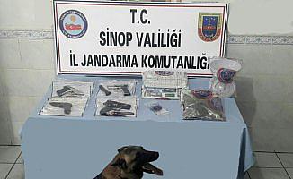 Sinop'ta uyuşturucu ve ruhsatız silah operasyonu