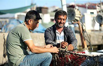 Balıkçıların umudu ekimde