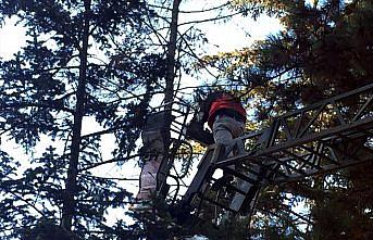 Ağaçta ayağına ip dolanan güvercini itfaiye ekipleri kurtardı