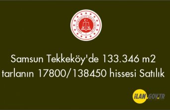 Samsun Tekkeköy'de 133.346 m2 tarlanın 17800/138450 hissesi Satılık