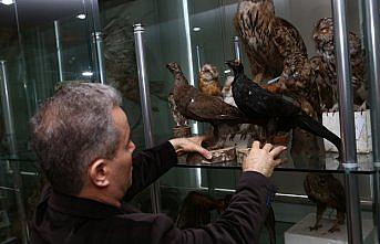 Yaban Hayatı Müzesi yarım asırdır ziyaretçilerini ağırlıyor