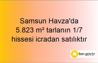 Samsun Havza'da 5.823 m² tarlanın 1/7 hissesi icradan satılıktır