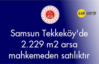 Samsun Tekkeköy'de 2.229 m² arsa mahkemeden satılıktır