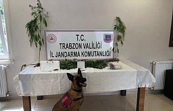Trabzon'da uyuşturucu operasyonlarında 2 şüpheli yakalandı
