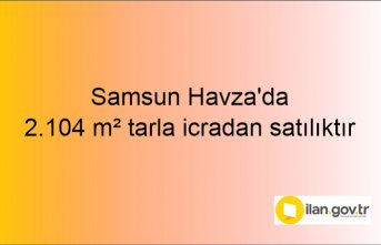 Samsun Havza'da 2.104 m² tarla icradan satılıktır