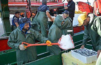 Batı Karadeniz'de balıkçılar limana kasalar dolusu hamsiyle döndü