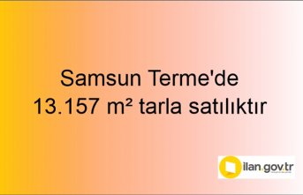 Samsun Terme'de 13.157 m² tarla mahkemeden satılıktır
