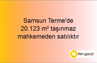 Samsun Terme'de 20.123 m² taşınmaz mahkemeden satılıktır