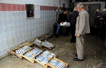 Sinop'ta balıkçı kooperatiflerinde alım satışta durgunluk yaşanıyor