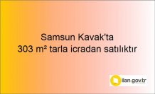 Samsun Kavak'ta 303 m² tarla icradan satılıktır