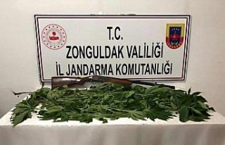 Zonguldak'ta uyuşturucu operasyonunda 2 kişi gözaltına...