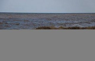 Bozkurt'taki sel nedeniyle Karadeniz'in rengi kahverengiye...