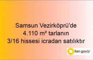 Samsun Vezirköprü'de 4.110 m² tarlanın 3/16...