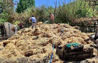 Amasya'da yangın sonucu 200 balya saman zarar...