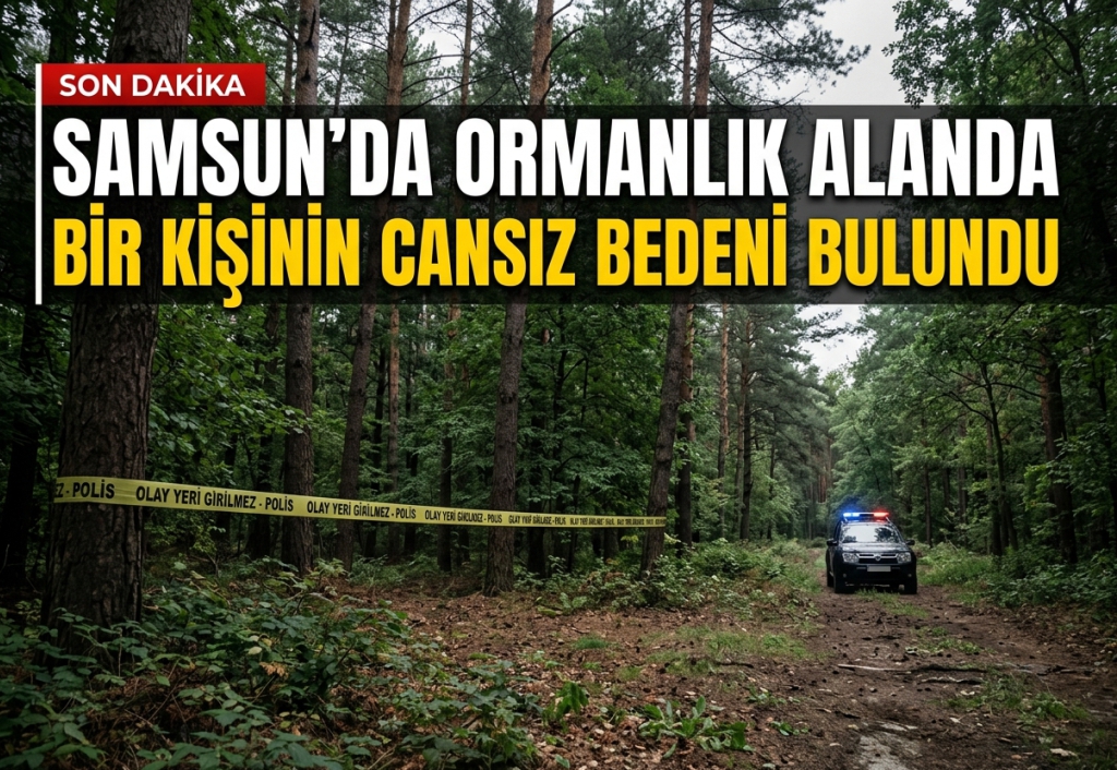 Samsun'da ormanlık alanda bir kişinin cansız bedeni bulundu