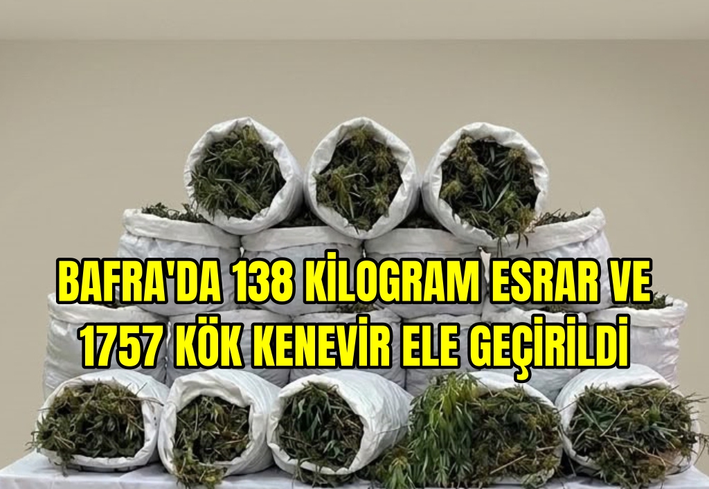 Bafra'da 138 kilogram esrar ve 1757 kök kenevir ele geçirildi