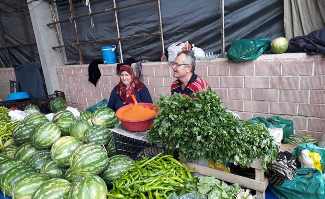 Batı Karadeniz'de yerli karpuz üretimi