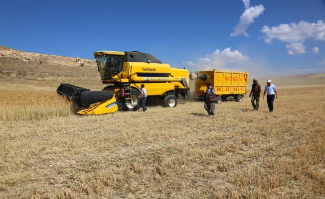 Bayburt'ta hububat hasadı başladı