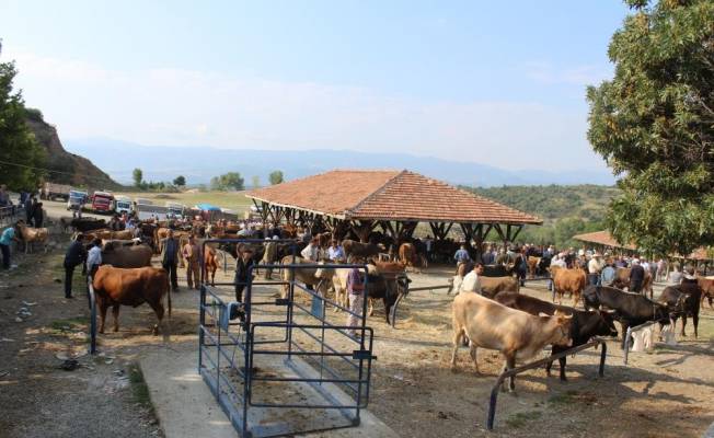 İkiz; Kurban Bayramı dolayısıyla bazı ek tedbirler alındı