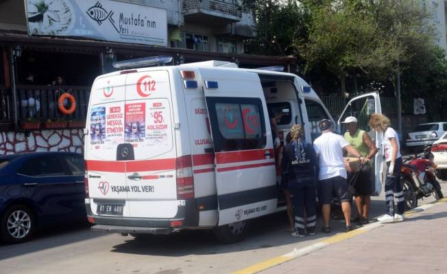 Telef olan köpeğini görünce hastanelik oldu