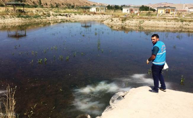 Bayburt'ta larvayla mücadelesi