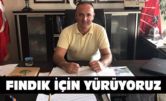 Fındık için yürüyoruz