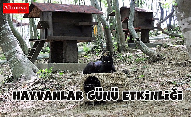 4 EKİM’DE KEDİ KASABASI’NDA BULUŞALIM