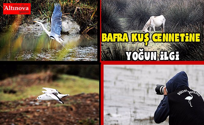 FOTO SAFARİYE BÜYÜK İLGİ