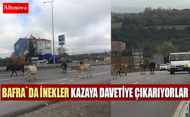 Kazaya davetiye çıkarıyorlar