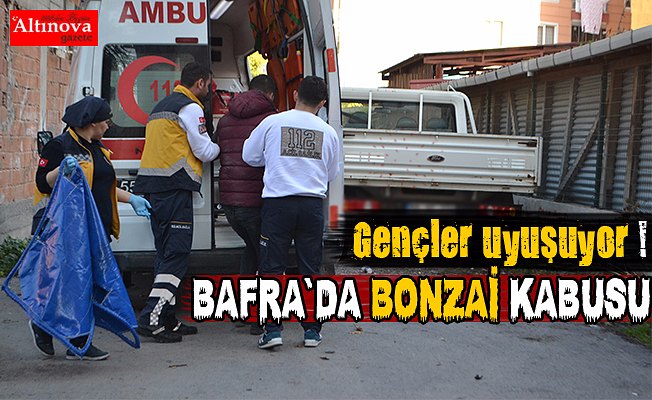 Bafra`da bonzai kabusu