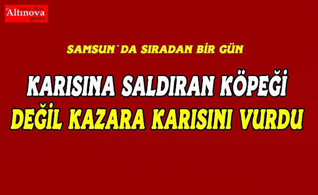 Eşine saldıran köpeğe ateş ederken karısını vurduğu iddiası