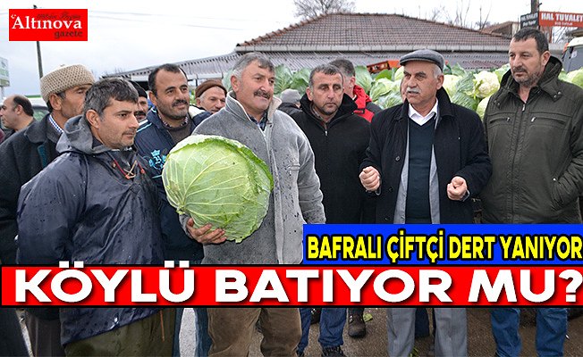 Bafralı çiftçi dert yanıyor