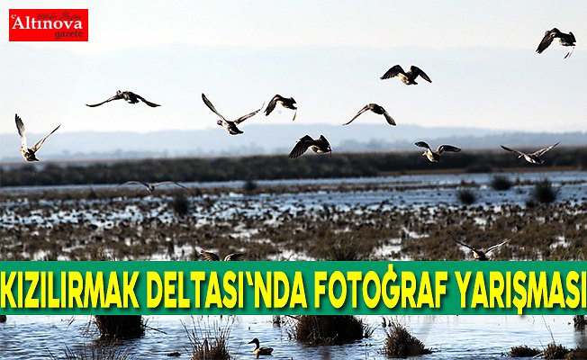 Kızılırmak Deltası'nda fotoğraf yarışması