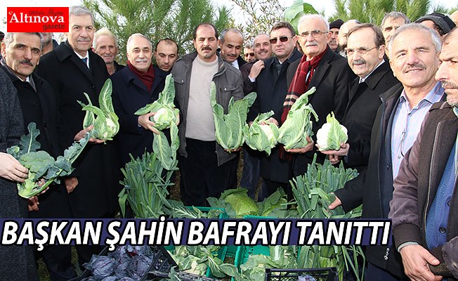 BAŞKAN ŞAHİN YİNE BAFRAYI TANITTI