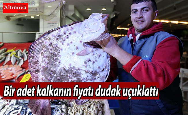 Bir adet kalkanın fiyatı dudak uçuklattı