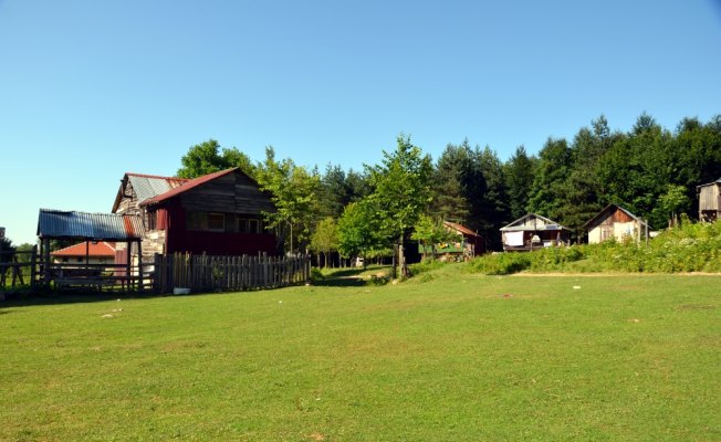 Gümeli'de yayları korumak için dernek kuruldu