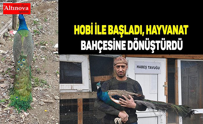 Hobi ile başladı, hayvanat bahçesine dönüştürdü