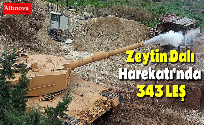 'Zeytin Dalı Harekatı'nda 343 terörist etkisiz hale getirildi'