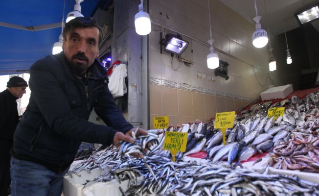 Balık fiyatları yüzleri güldürdü