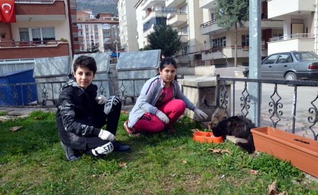 Küçük Elif'in 6 aylık harçlığı kedilere barınak oldu