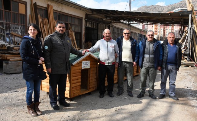 Sokak hayvanlarına konforlu kulübe hizmeti