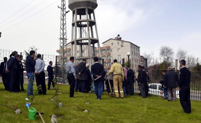 Afrin şehitleri anısına fidan dikildi