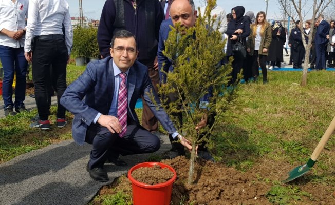 Bafra'da 70 şehit için 70 fidan dikildi