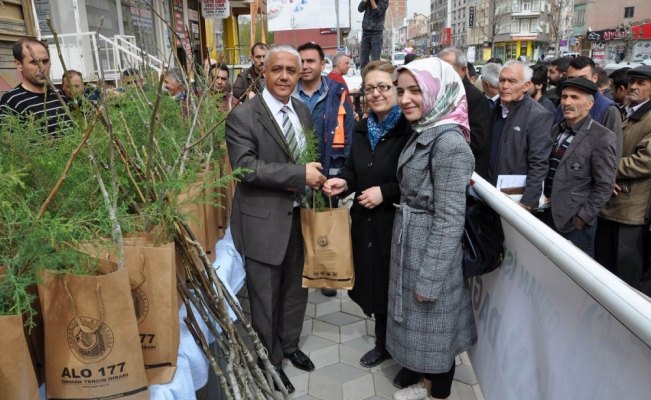 Ormancılık Haftası